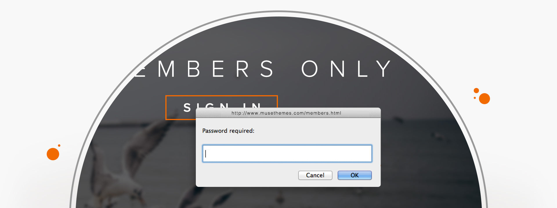 Password Protection