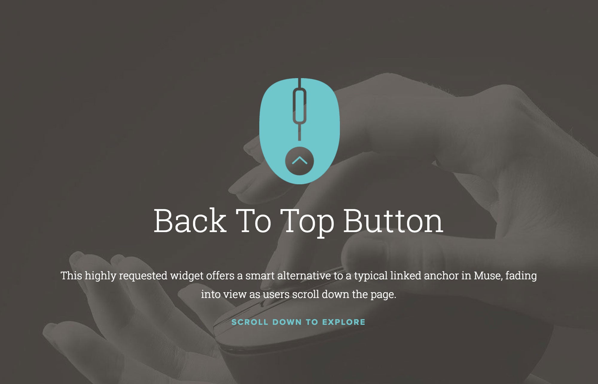 Back To Top Button